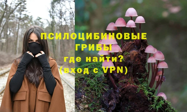 соль курить ск Верхний Тагил