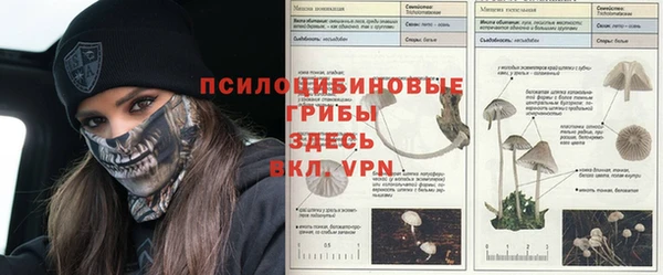2c-b Бутурлиновка