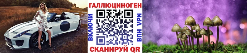 Псилоцибиновые грибы Cubensis  Весьегонск 